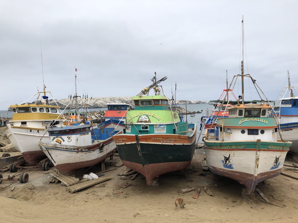 Mahi mahi boats