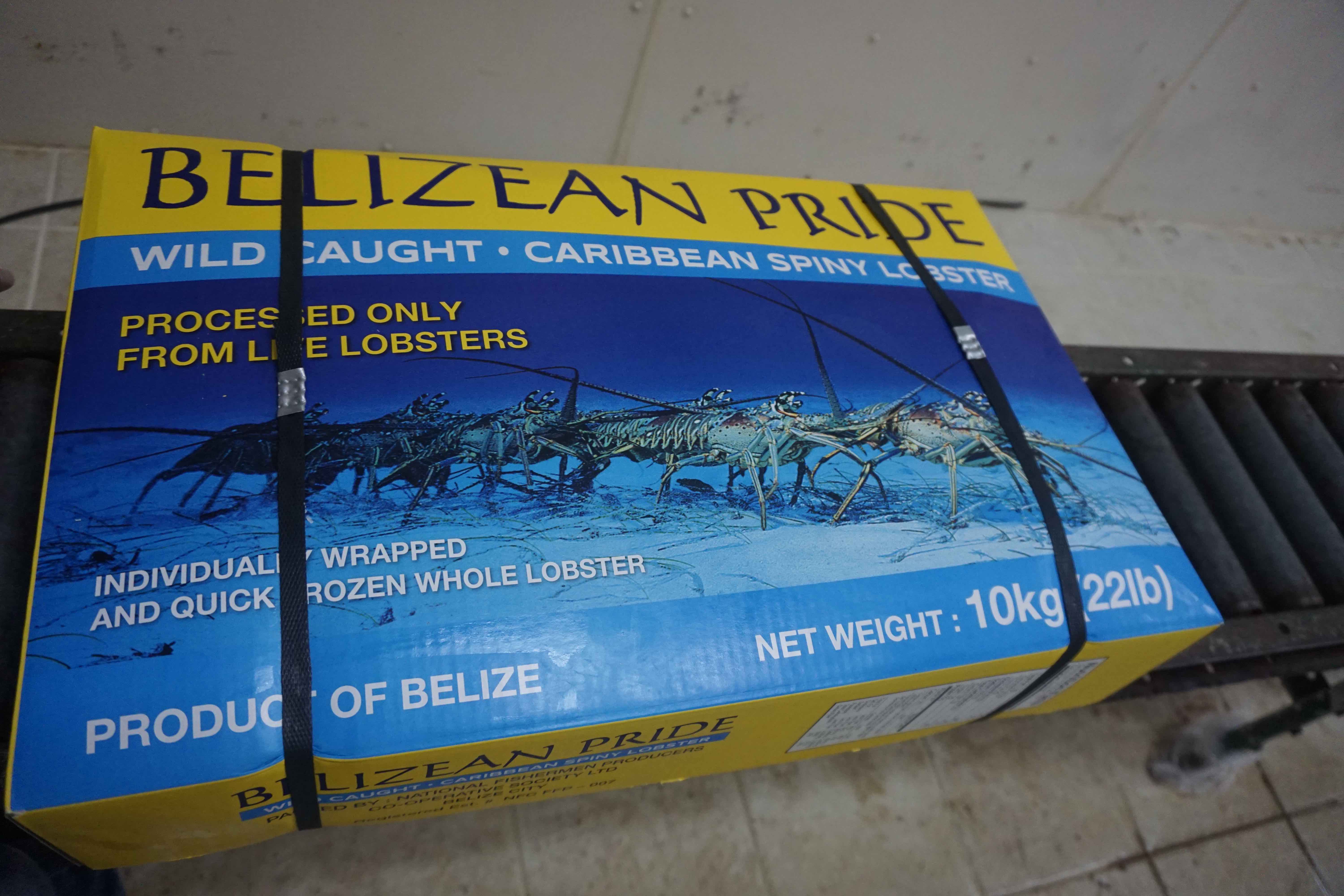 Box of Belizean Lobster