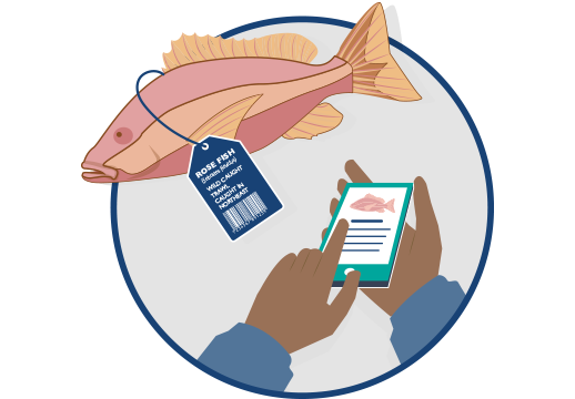 cartoon of fish with tag for tracing