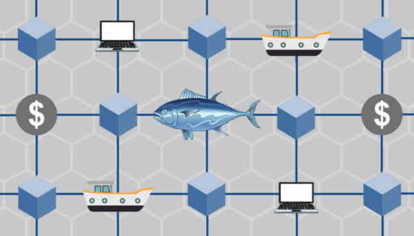 cartoon image of fish connected to boats and computers
