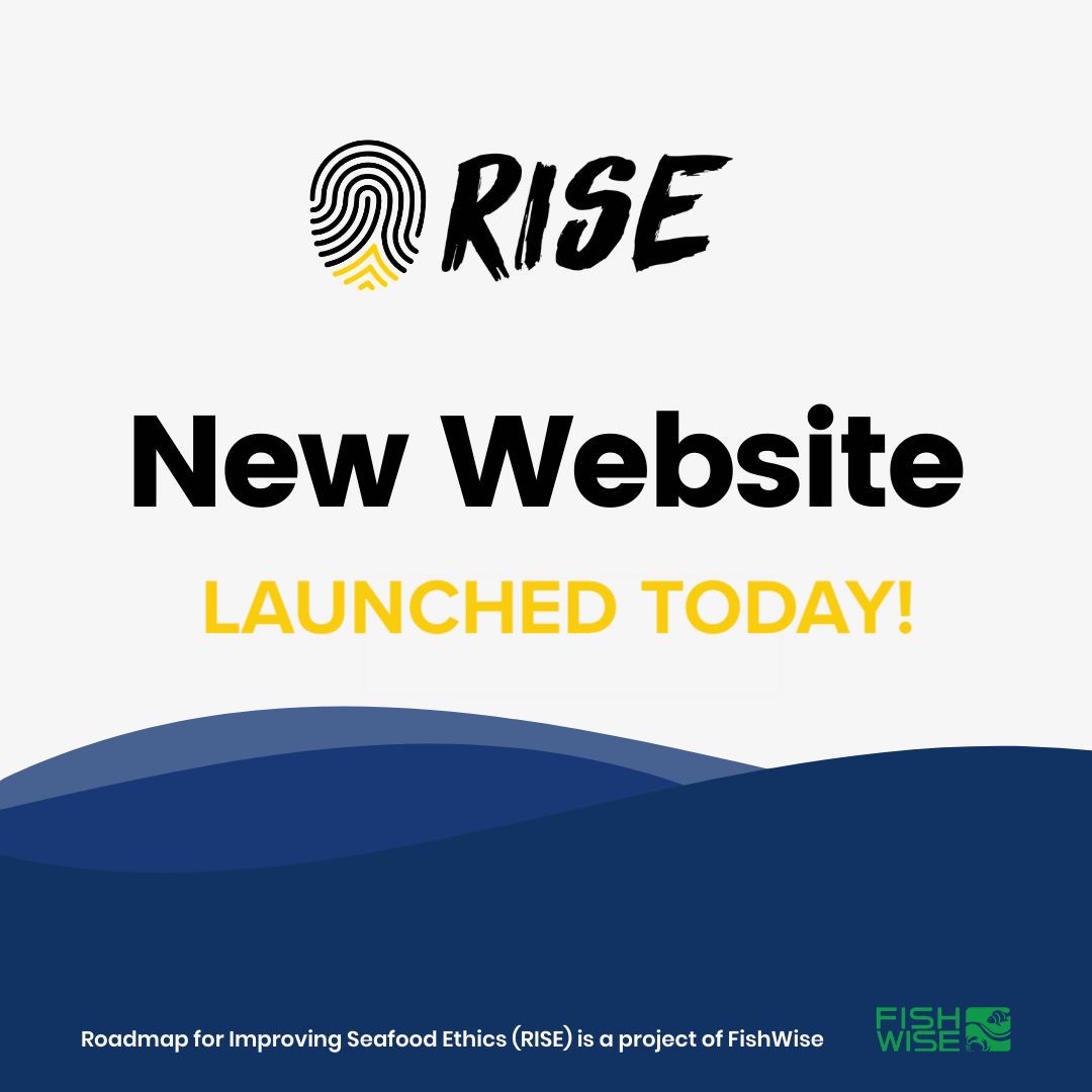 Announcement of RISE website launched