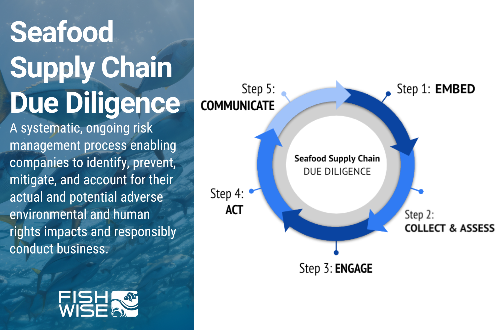 FishWise helps businesses achieve their ideal end state through a due diligence approach, and we recognize it can be a long process.