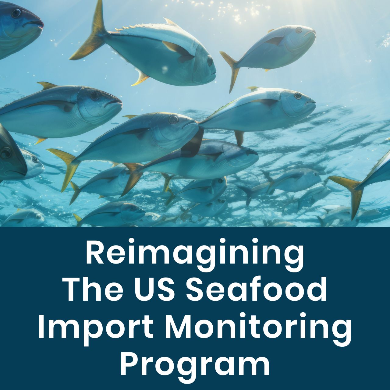 REIMAGINING THE SEAFOOD IMPORT MONITORING PROGRAM: WORKSHOP SERIES HIGHLIGHTS